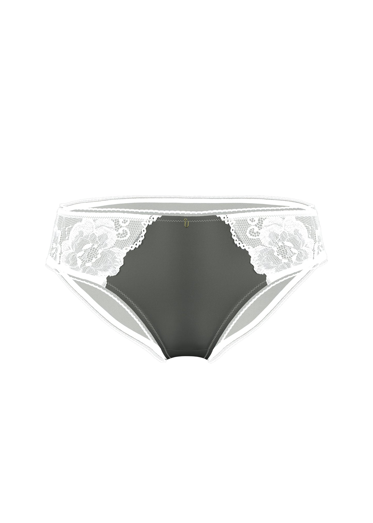 ALINA Sage Green Brief Panties With White Floral Lace